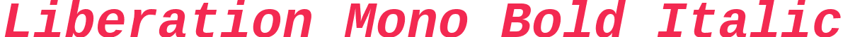 Liberation Mono Bold Italic